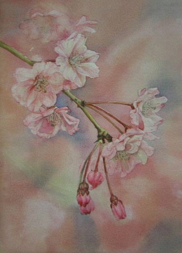 火曜コース会員作品　女性Ｋさん　水彩