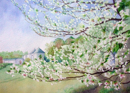 火曜コース会員作品　男性Ｍさん　マスキング技法による水彩