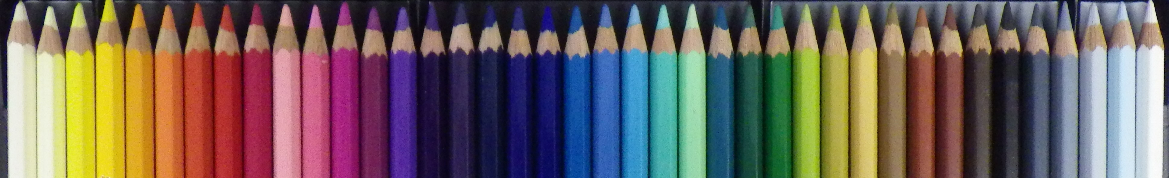 色鉛筆画像